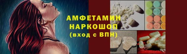 гашик Алексин
