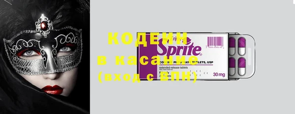 гашик Алексин