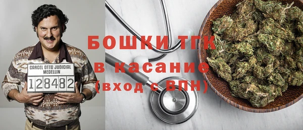 гашик Алексин