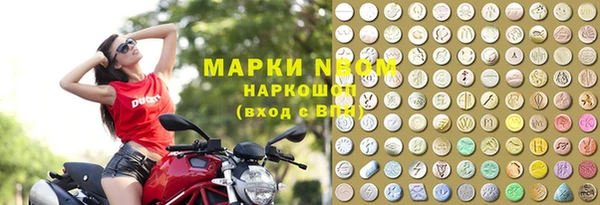 гашик Алексин