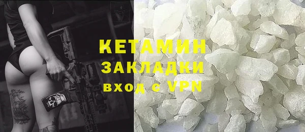 гашик Алексин