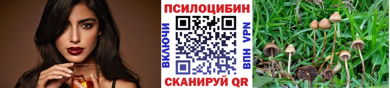 Псилоцибиновые грибы GOLDEN TEACHER  маркетплейс телеграм  Камбарка  наркотики  blacksprut как войти 